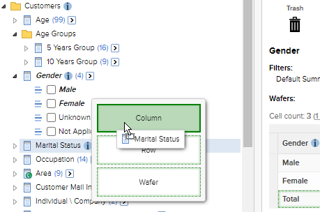 Dragging the Marital Status item to the Column drop zone